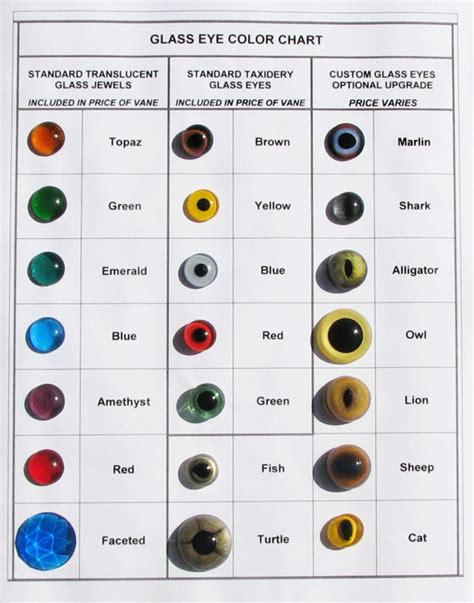 Human Eye Colour Chart By Delpigeon The Eye Sight Human Eye Color
