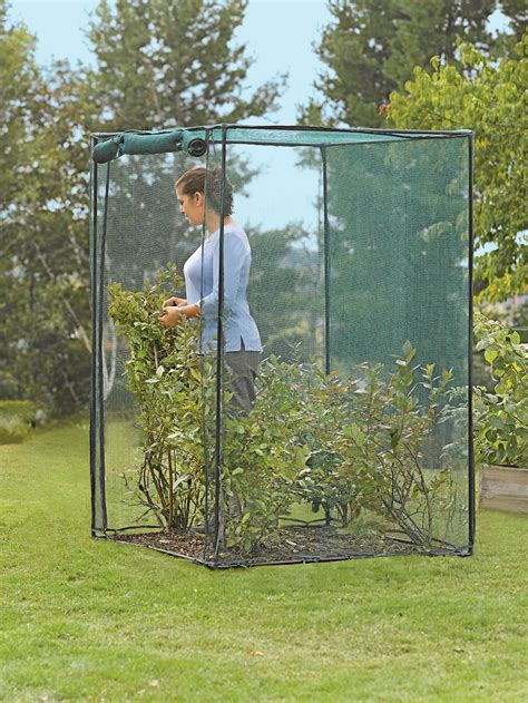 To protect blueberry bushes, fruit trees, and other plants from pesky birds, garden netting comes in handy. Crop Cage | Blueberry Bush Cover | Crop Protection | for ...