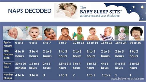 Baby Nap Chart How Many Naps And How Long Should They Be The Baby