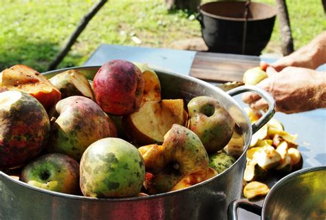 Kopf Unmittelbar Bevorstehend Enzyklopädie Oxidacion De Las Frutas Lima