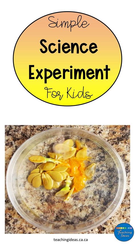 Science Experiment Kids Easy Science Experiments Science Experiments