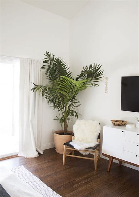 Palm Trees And Cozy Sheepskin In This Cute Corner Home Decor
