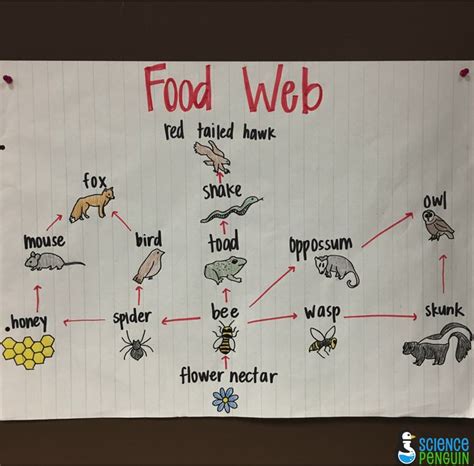 189 Best Images About Anchor Charts On Pinterest Fossil