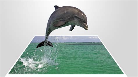 Because photoshop is trying to maintain the image resolution, you'll see that your image has shrunk we're going to stretch the picture back up to size by increasing the dimensions 1000 percent. How to make a 3D pop-out effect - photoshop photo effects ...