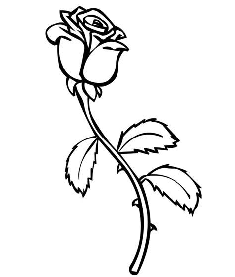 Simple Rose Bud Drawing At Getdrawings Free Download