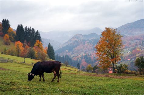 All Colors Of Autumn In The Ukrainian Carpathians · Ukraine Travel Blog