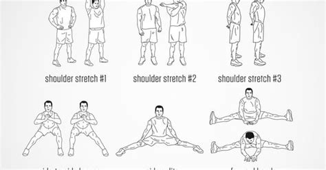 Pre Workout Fighters Stretching 365 Workouts Pinterest Workout