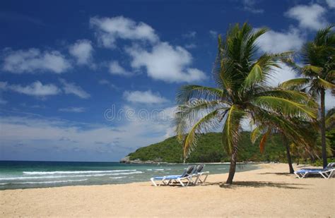 Picturesque Caribbean Beach Stock Image - Image of ocean, holiday: 2933189