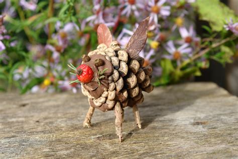 Pine Cone Creature 2784×1856 Pixels Fairy Crafts Diy Christmas