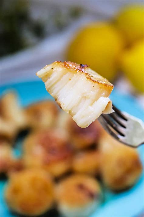 How To Cook Frozen Scallops In A Pan Air Fryer Or Microwave