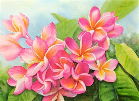 Plumeria Painting Matted Art Print Etsy Hawaii Painting Flower Art