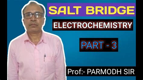 Electrochemical Cellsalt Bridge Chemistry Class 12