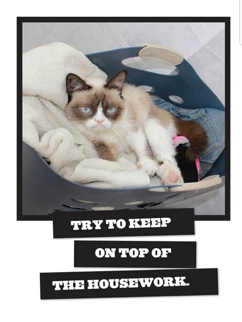 Grumpy Cat Keep On Top Of Housework Grumpy Cat Humor Grumpy Cat