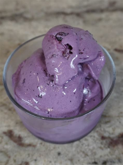 Delicious Homemade Blueberry Ice Cream Recipe