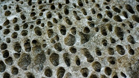 What Is Trypophobia And Why On Earth Are People So Scared Of Holes
