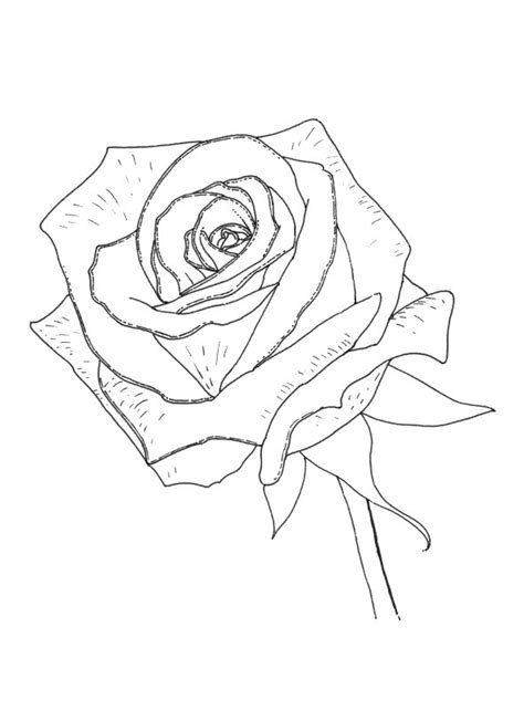 Rose coloring pages are one of the most popular flowers coloring. Realistic Rose Coloring Pages at GetColorings.com | Free ...