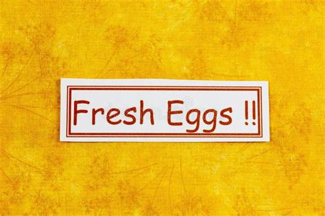 Fresh Eggs Food Banner Cutout Organic Chicken Farmers Market Stock