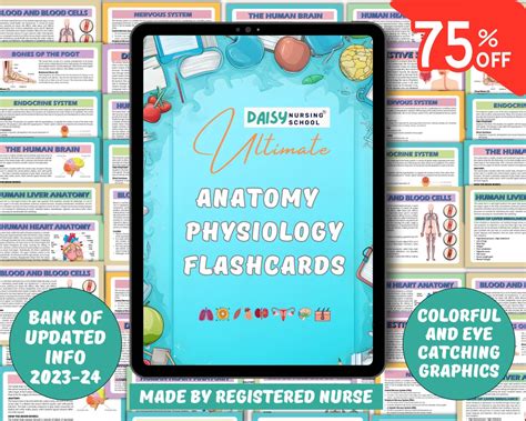 Anatomy Physiology Flashcards Anatomy Flashcards Physiology Etsy