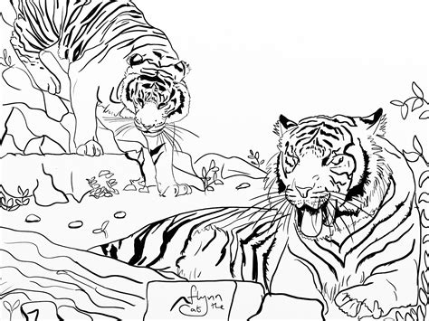 Desenhos De Tigre Para Colorir Atividades Educativas