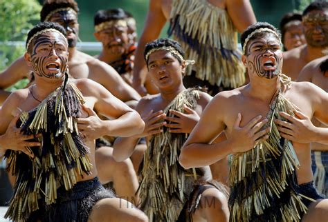 Maori Warriors In New Zealand Tim Graham World Travel And Stock Photography