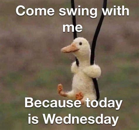 come swing with me because today is wednesday humpdaymemes funnyhumpdaymemes wednesdaymemes