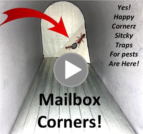 Got Mail Watch This And See How Happy Cornerz Is The Hero Of Millions