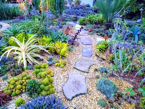 This Beautiful Succulent Xeriscape In Orlando Fl Sorry For The Filter