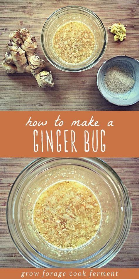 How To Make A Ginger Bug For Wild Fermented Sodas Recipe Ginger