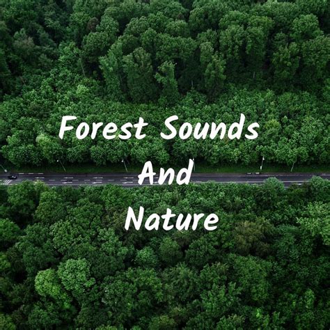 Nature Sounds Forest Sounds And Nature Iheart