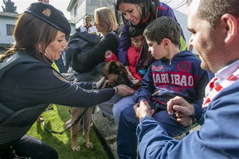 Fotos Stan Lee El Perro Polic A En Su Nueva Ocupaci N Solidaria Ideal