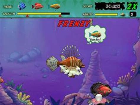 Juegos De Pesca Gratis Para Pc Pesca Información