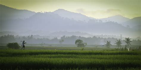 Suasana Desa By Made Citayasa Photo 25912793 500px