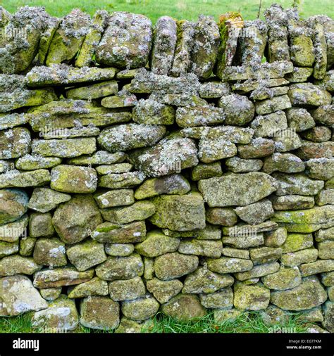 Close Up Of A Dry Stone Wall With Lichen Growth Derbyshire England