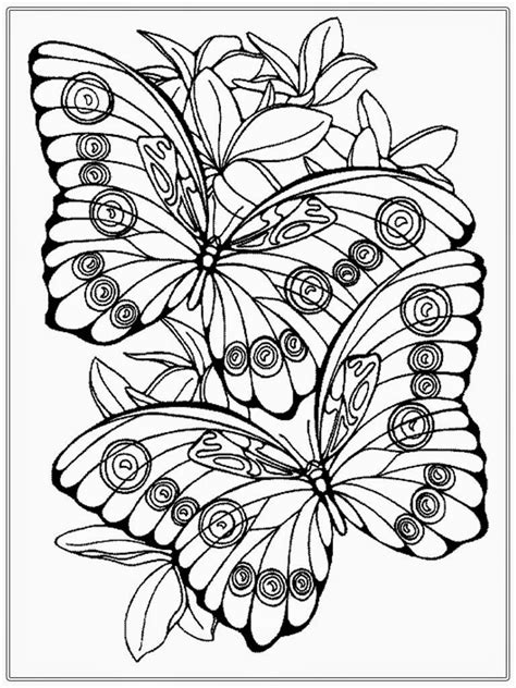 Adult Color Pages Adult Coloring Pages Butterfly Realistic Coloring