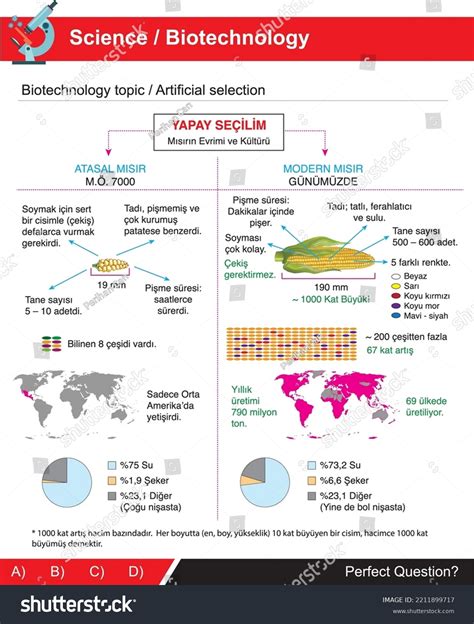 Artificial Selection Corn Example Biotechnology Subject Stock Vector
