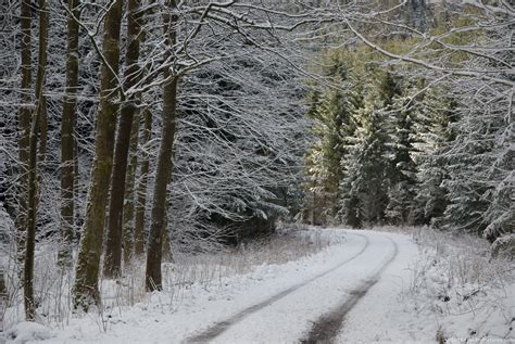 Road On Snow