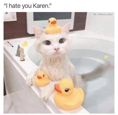 Check spelling or type a new query. Karen Cat Memes - So Funny! | Don't Brake My Art