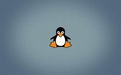 Linux Tux Penguins Open Source Penguin Cartoon