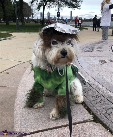 Oscar The Grouch Dog Costume Mind Blowing Diy Costumes