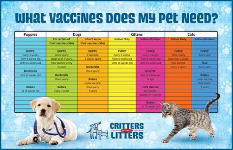 Did the health insurance cover the expenses? Does insurance cover post exposure rabies shot - insurance