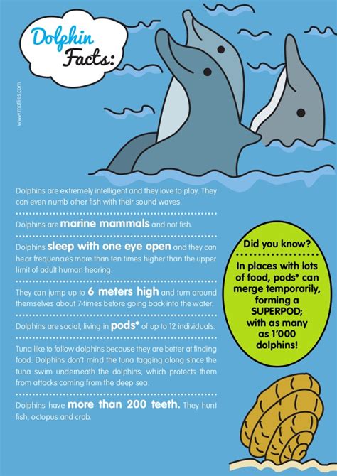Hope this article that will enlighten you and your kids with some fun and entertaining facts about animals. Dolphin facts
