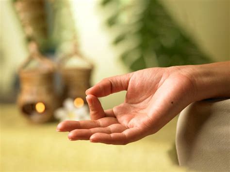 Holistic Wellness Best Wellness Retreats In India Taj Wellness Retreats