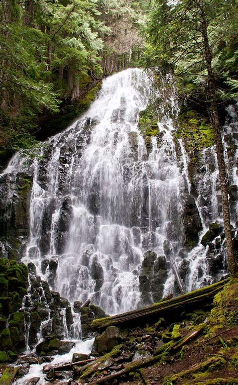 Ramona Falls Hike Travel Vacation Ideas Road Trip Places To