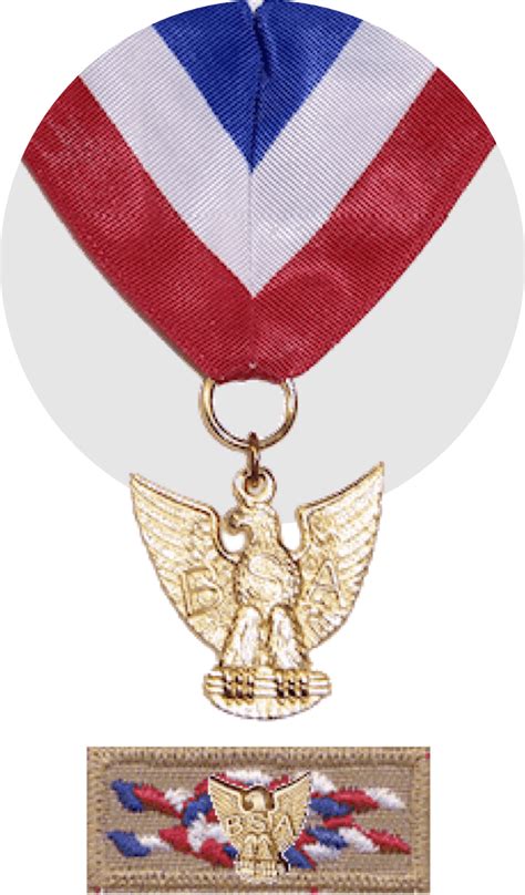 Distinguished Eagle Scout Award The National Eagle Scout Association