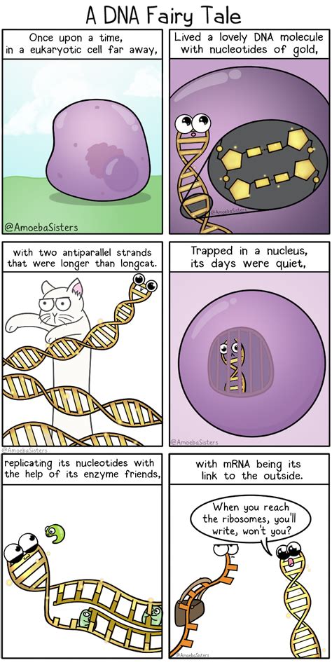 A Dna Fairy Tale Biology Humor Biology Classroom Biology Memes