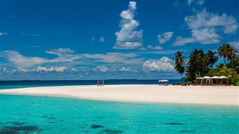 Maldives Tropical Beach 4k