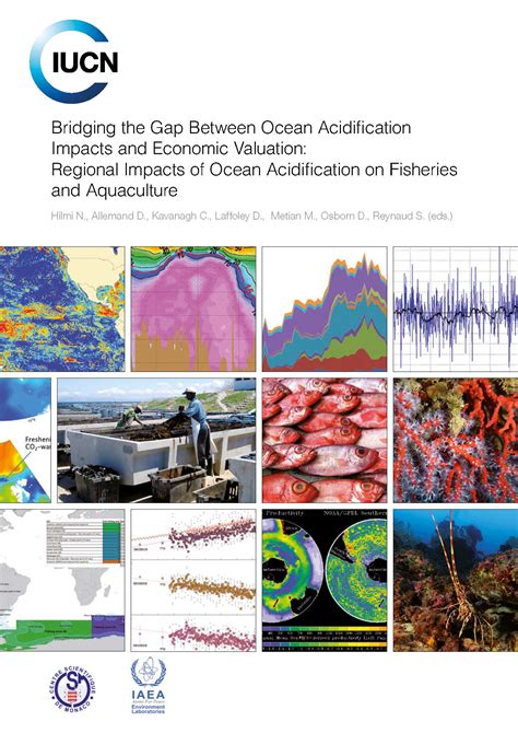 Bridging The Gap Between Ocean Acidification Impacts And Economic