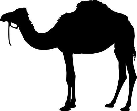 Svg Animal Camel Free Svg Image And Icon Svg Silh