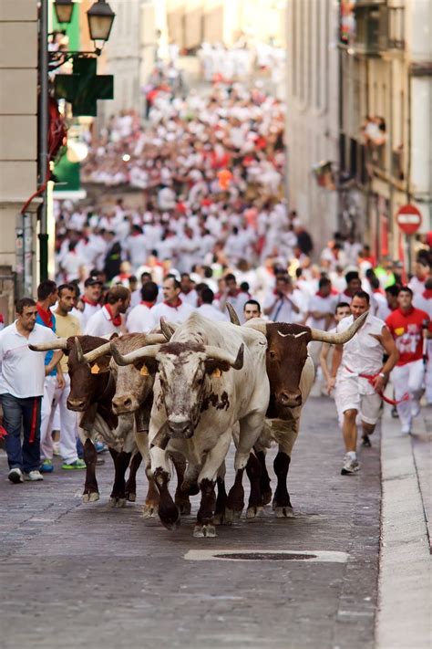Run With The Bulls In Pamplona Running Of The Bulls Spain Culture