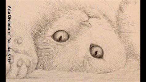 Dibujos A Lapiz De Gatos Como Dibujar Un Gato Facil Paso A Paso A